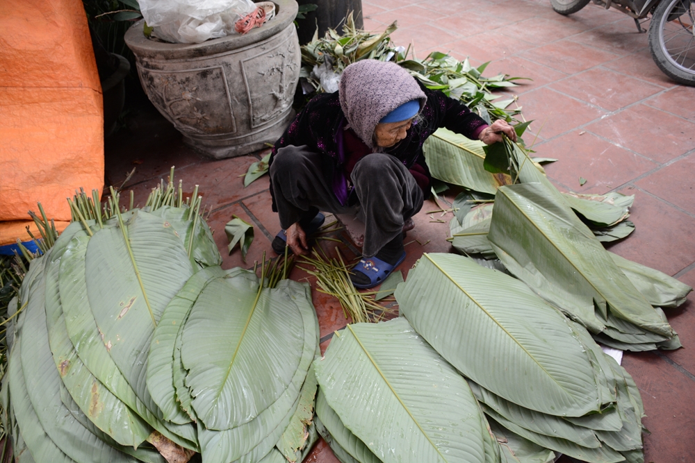 Cụ Bùi Thị Tỵ (98 tuổi) vẫn phụ giúp con cháu cắt lá dong.